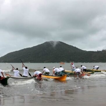 corrida canoas amigo pescador projeto tamar ubatub