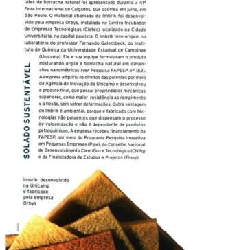 Solado sustentável – Revista – Pesquisa Fapesp – Página 64