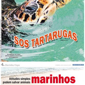 Atitudes simples podem salvar animais marinhos – Diário do Grande ABC
