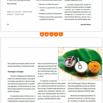 Tecnologia de encapsulação de ingredientes – Engarrafador Moderno