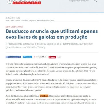 Bauducco utilizará apenas ovos livres de gaiolas – Avisite