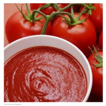 Fábrica de molho de tomate economiza R$ 697 mil por ano com tecnologia sustentável – Comunique-se