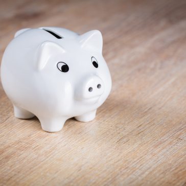 Gimba lança programa de cashback – Imagem