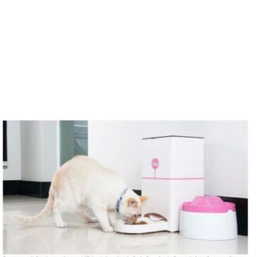 Startup brasileira lança comedouro inteligente – GS Notícias