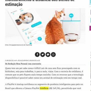 Startup curitibana oferece câmera para monitoramento à distância dos bichos de estimação – BemParaná