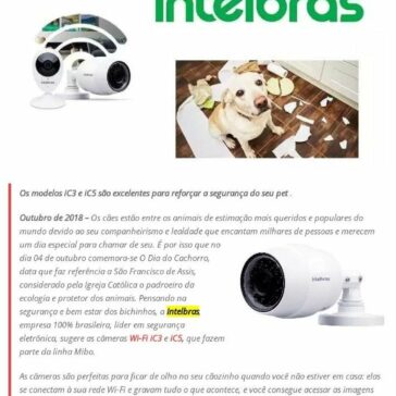 Comemore o Dia do Cachorro com as câmeras Mibo da Intelbras – MTI Tecnologia