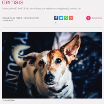 Câmeras para monitorar cachorros que aprontam demais – Portal Rosa Choque