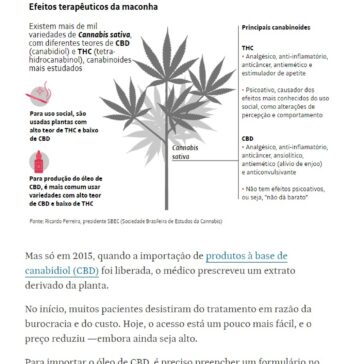 Sucesso no uso terapêutico da maconha contra dor inibe preconceito – Folha de São Paulo (Online)