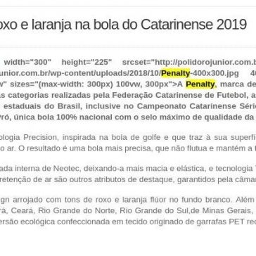 Penalty na área: Tons de roxo e laranja na bola do Catarinense 2019 – Polidoro Junior