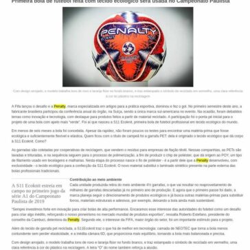 Primeira bola de futebol feita com tecido ecológico será usada no Campeonato Paulista – Ecodesenvolvimento