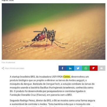 Startup cria solução que ajuda no combate ao mosquito da dengue- IT Mídia.Com