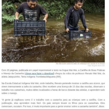 Para inspirar nova geração, povo Wai Wai publica cartilha sobre manejo da castanha – ABN News