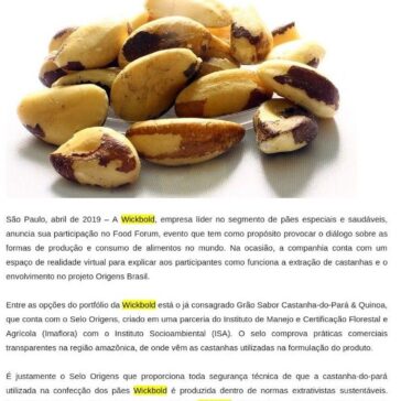 Realidade virtual: Wickbold apresenta processo de extração sustentável de castanhas utilizadas pela marca – Revista Capital Econômico