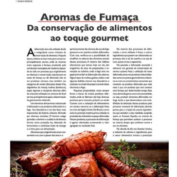 Aroma de fumaça da conservação de alimentos ao toque gourmet – Aditivos & Ingredientes