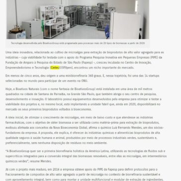 Biorrefinaria converterá biomassas renováveis em intermediários químicos verdes- Ciência na Rua