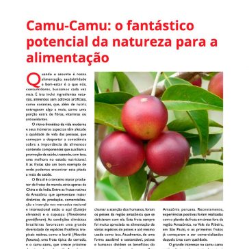Camu-Camu: o fantástico potencial da natureza para a alimentação