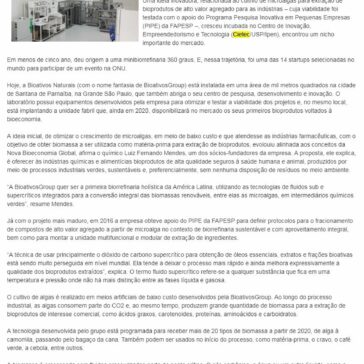 Biorrefinaria converterá biomassas renováveis em intermediários químicos verdes- Revista Meio Filtrante Online
