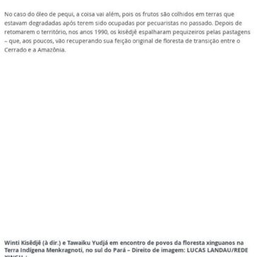 Os indígenas premiados na ONU por produtos que geram renda e mantêm floresta em pé- ClickNews