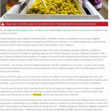 Os indígenas premiados na ONU por produtos que geram renda e mantêm floresta em pé- Semana On