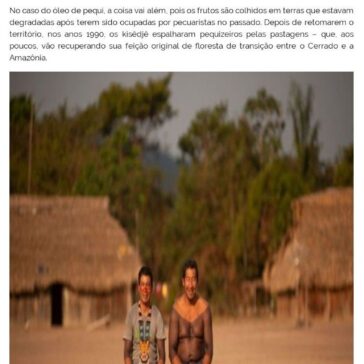 Os indígenas premiados na ONU por produtos que geram renda e mantêm floresta em pé- Blog do Lúcio Sorge
