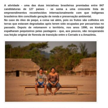Os indígenas premiados na ONU por produtos que geram renda e mantêm floresta em pé. -Blogue da Luiza Valio