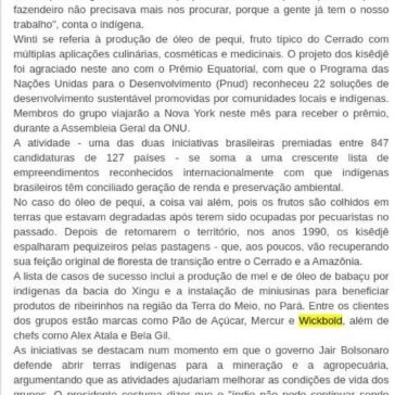 Os indígenas premiados na ONU por produtos que geram renda e mantêm floresta em pé- Jornal Região em Foco