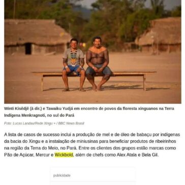 Os indígenas premiados na ONU por produtos que geram renda e mantêm floresta em pé- Terra