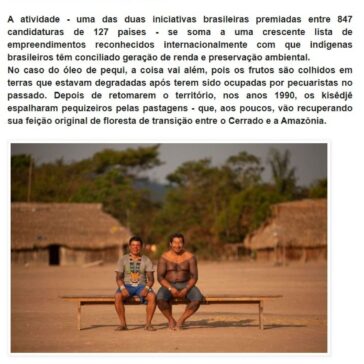 HISTÓRIA DO BRASIL ATUAL- Blogue da Luiza Valio