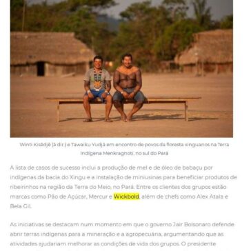 Os indígenas premiados na ONU por produtos que geram renda e mantêm floresta em pé- Pró Ambiente