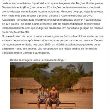 Os indígenas premiados na ONU por produtos que geram renda e mantêm floresta em pé- Biblioteca da Escola de Engenharia e do Inst. de Computação