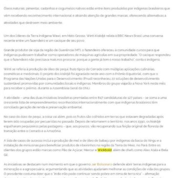 Os indígenas premiados na ONU por produtos que geram renda e mantêm floresta em pé. – Blog do Guida