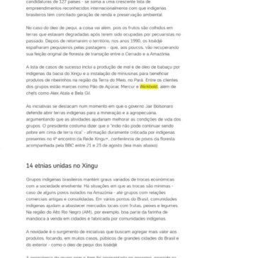 Os indígenas premiados na ONU por produtos que geram renda e mantêm floresta em pé- UOL