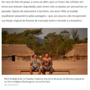 Os indígenas premiados na ONU por produtos que geram renda e mantêm floresta em pé- R7