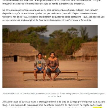 Os indígenas premiados na ONU por produtos que geram renda e mantêm floresta em pé – Ambientebrasil – Notícias Ambientebrasil