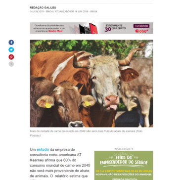 Em 2040, 60% da ‘carne’ no mundo não será feita de animais, diz estudo – Galileu