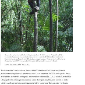 Como a economia de floresta em pé pode salvar a AmazÒnia – e o planeta- National Geographic
