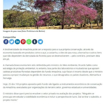 Projetos dependem da floresta em pé para gerar lucro na Amazônia- Portal Marcela Rosa