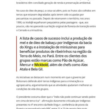 Os indígenas premiados na ONU por produtos que geram renda e mantêm floresta em pé- G1 Natureza