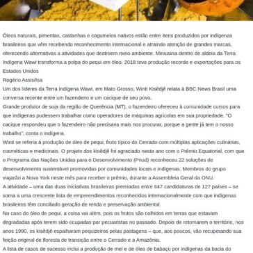 Os indígenas premiados na ONU por produtos que geram renda e mantêm floresta em pé- Rádio Blog Peão
