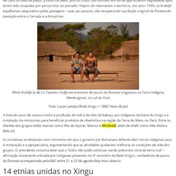 Os indígenas premiados na ONU por produtos que geram renda e mantêm floresta em pé- Jornais Virtuais
