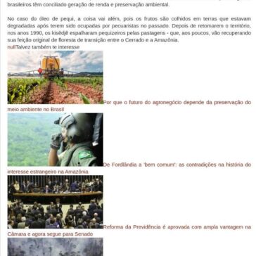 Os indígenas premiados na ONU por produtos que geram renda e mantêm floresta em pé- Blog do Silvinho Parabolicas