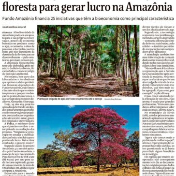 Projetos dependem de conservação da floresta para gerar lucro na Amazônia- Folha de S. Paulo