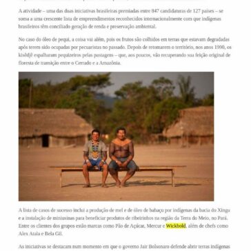 A potência dos produtos das florestas- Outras Palavras