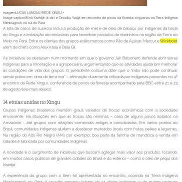 Os indígenas premiados na ONU por produtos que geram renda e mantêm floresta em pé- Partido Verde