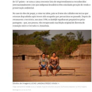 Os indígenas premiados na ONU por produtos que geram renda e mantêm floresta em pé- Z1 Portal de Notícias