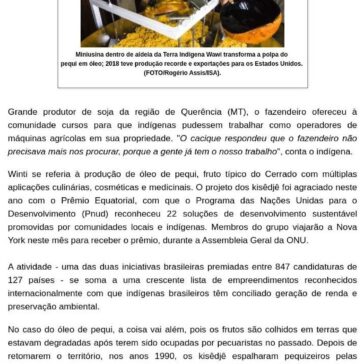Os indígenas premiados na ONU por produtos que geram renda e mantêm floresta em pé- Negro Nicolau