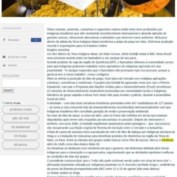 Os indígenas premiados na ONU por produtos que geram renda e mantêm floresta em pé- Redação Agro