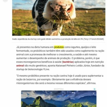 Esta startup desenvolve bactérias para melhorar a nutrição animal- Exame.com