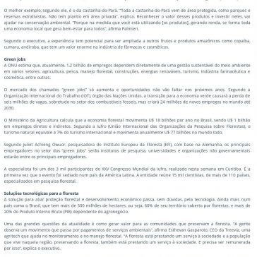 Por que manter a floresta nativa de pé é um bom negócio- Portal KLFF