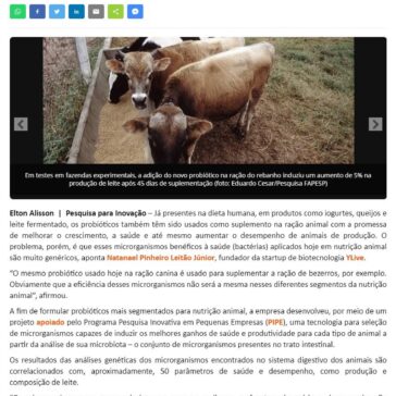 Startup desenvolve probióticos segmentados para nutrição animal- Casa de Notícias